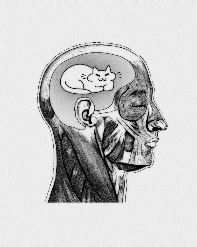 Tatuaje de una cabeza anatómica de perfil grabada en negro con un gato dormido dibujado dentro del cerebro