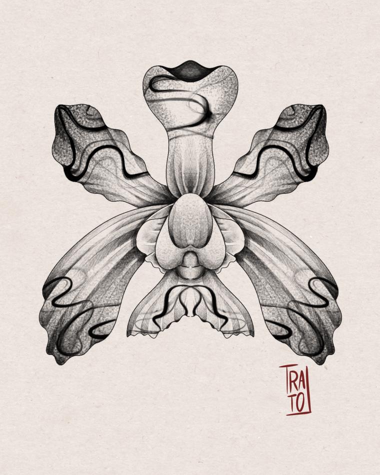 Tatuaje puntillista de orquídea abierta con pétalos ondulados