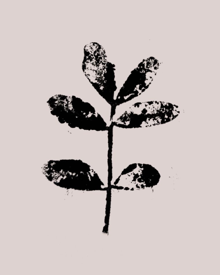 Tatuaje de ramita prensada con seis hojas estampadas en negro