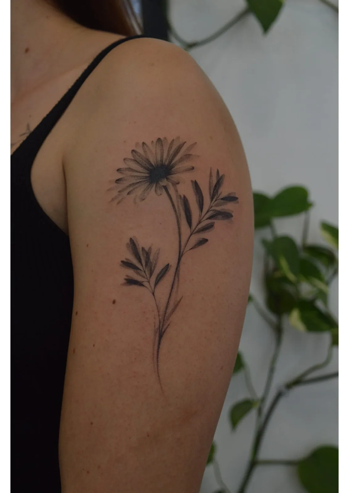 Tatuaje estilo Botánico - ejemplo 8 en Trato Tattoo Estudio Valencia