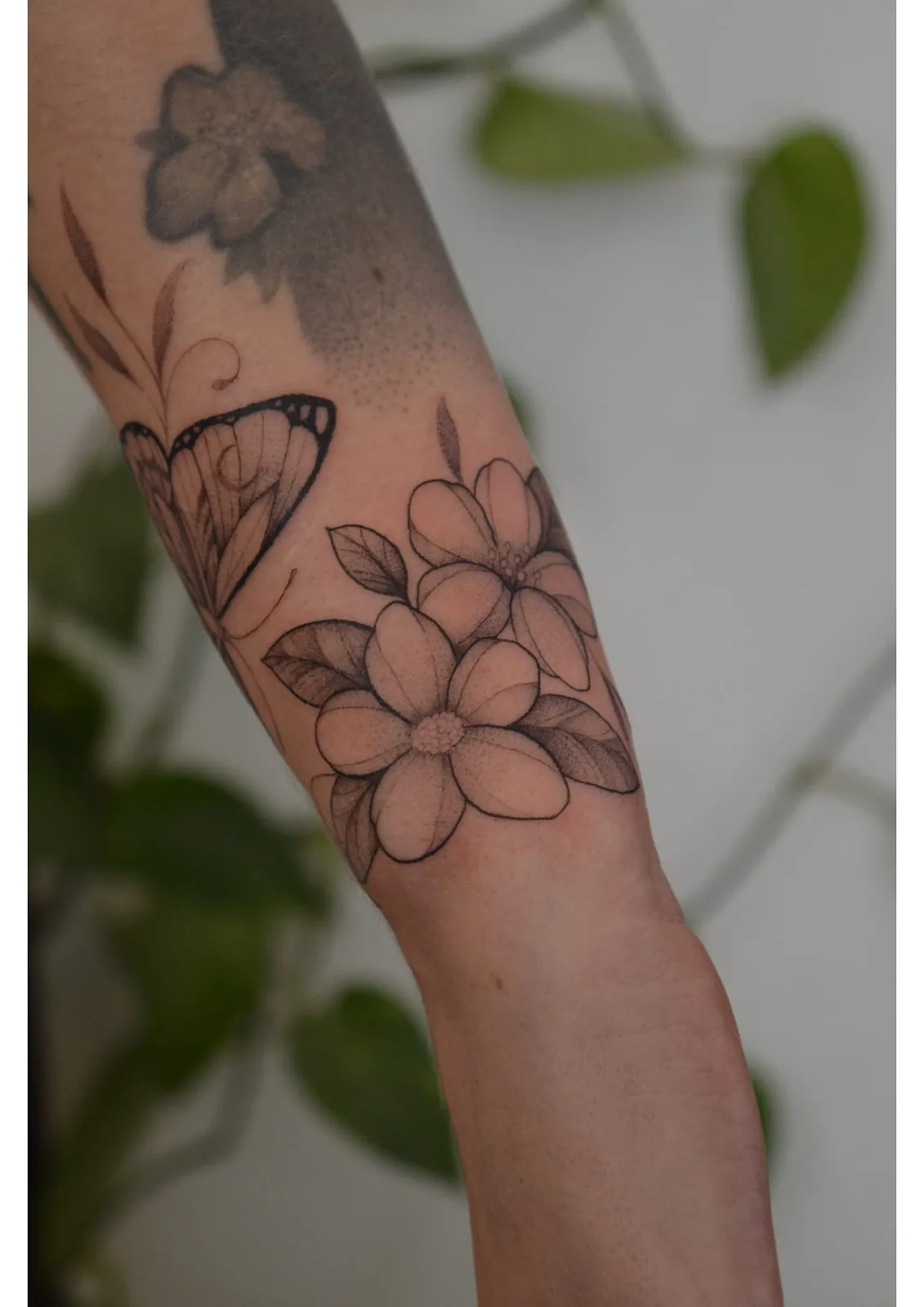 Tatuaje estilo Botánico - ejemplo 9 en Trato Tattoo Estudio Valencia
