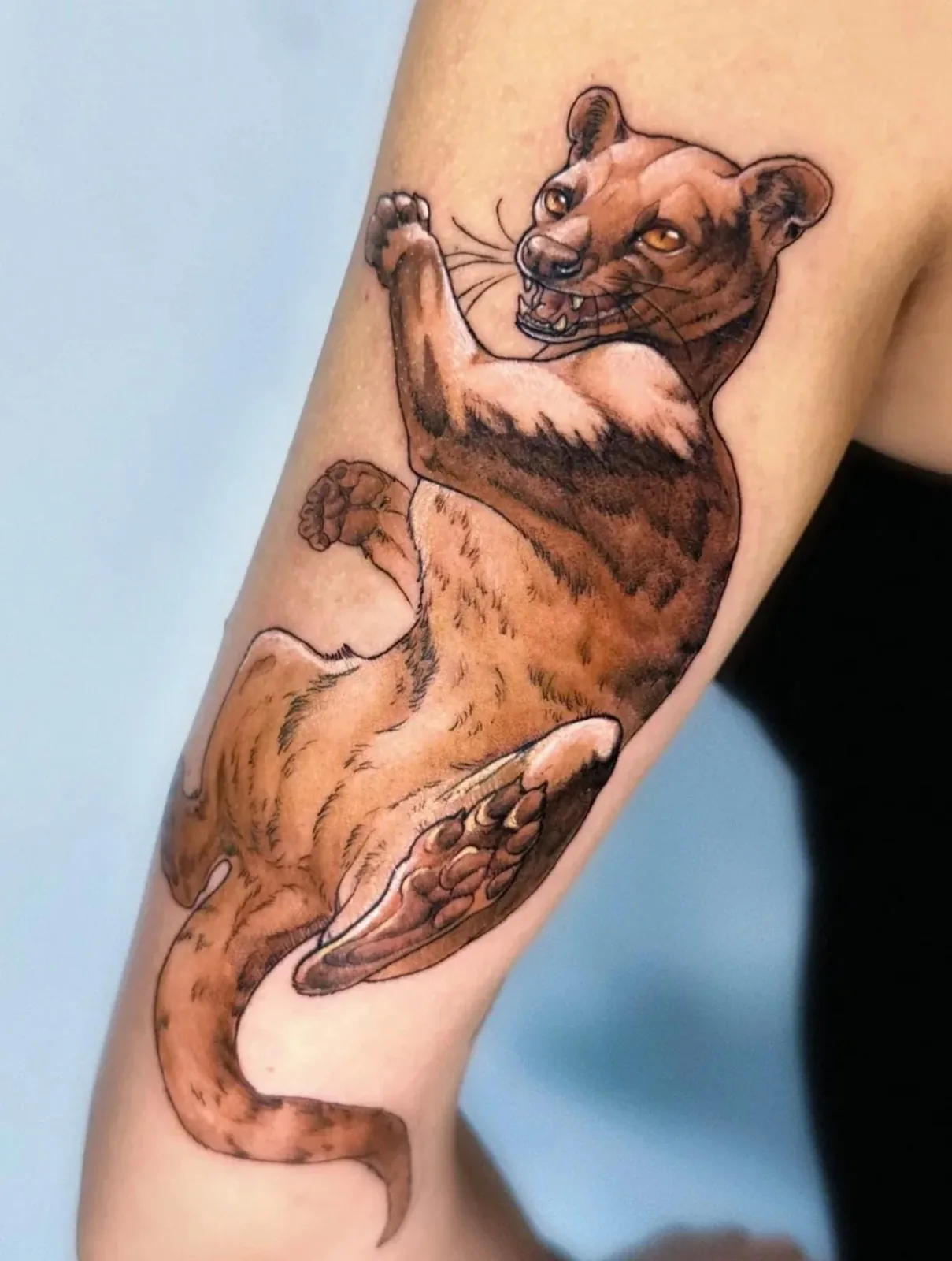 Tatuaje estilo Color - ejemplo 3 en Trato Tattoo Estudio Valencia