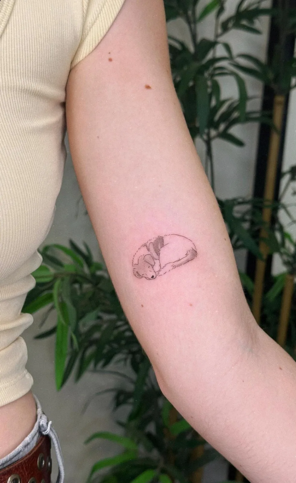 Tatuaje estilo Fineline - ejemplo 6 en Trato Tattoo Estudio Valencia