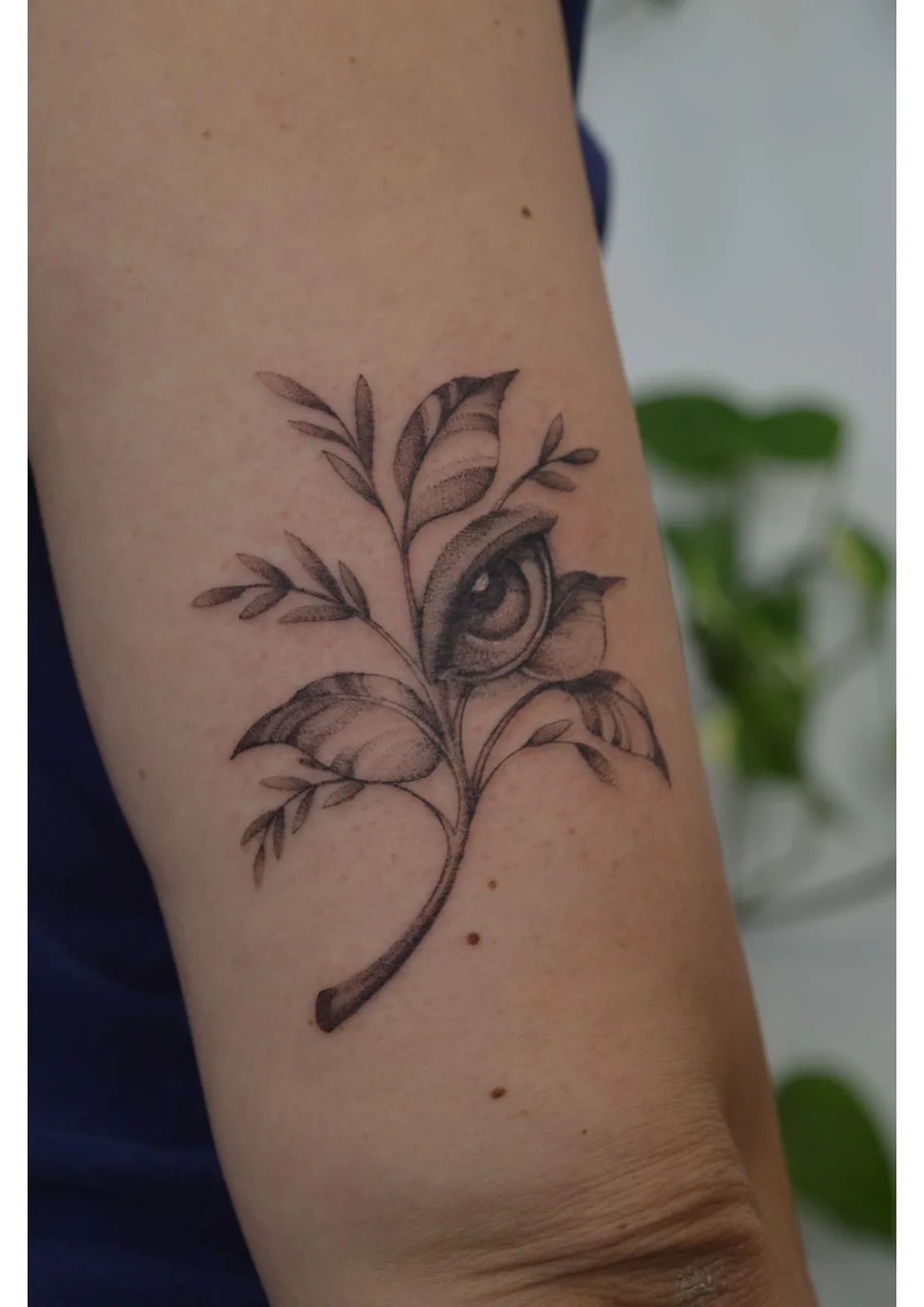 Tatuaje estilo Ilustrativo - ejemplo 8 en Trato Tattoo Estudio Valencia