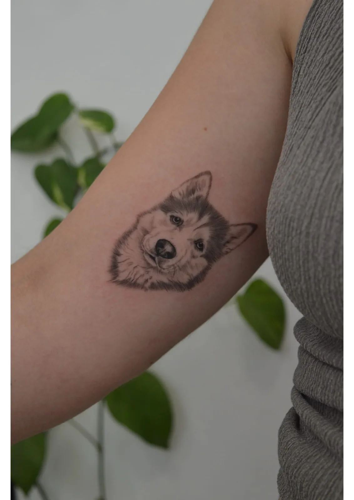 Tatuaje estilo Microrealismo - ejemplo 6 en Trato Tattoo Estudio Valencia