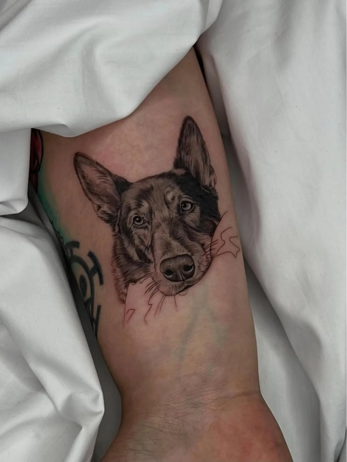 Tatuaje estilo Microrealismo - ejemplo 7 en Trato Tattoo Estudio Valencia