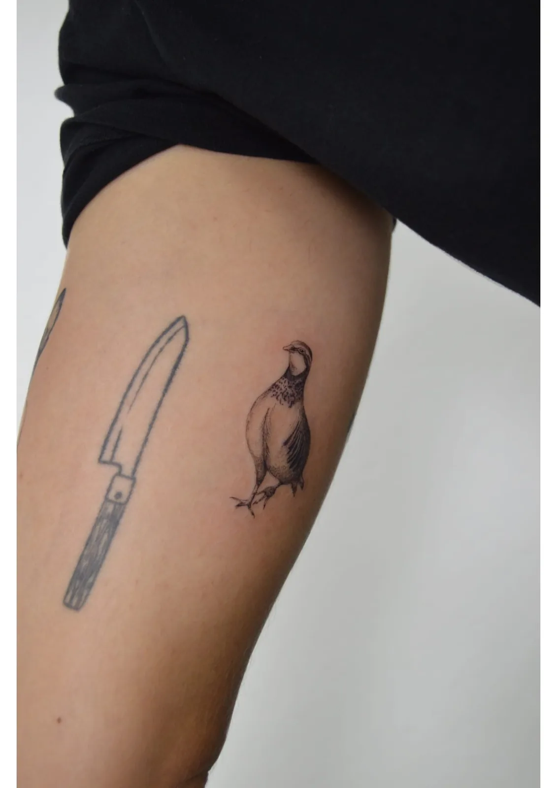Tatuaje estilo Microrealismo - ejemplo 8 en Trato Tattoo Estudio Valencia