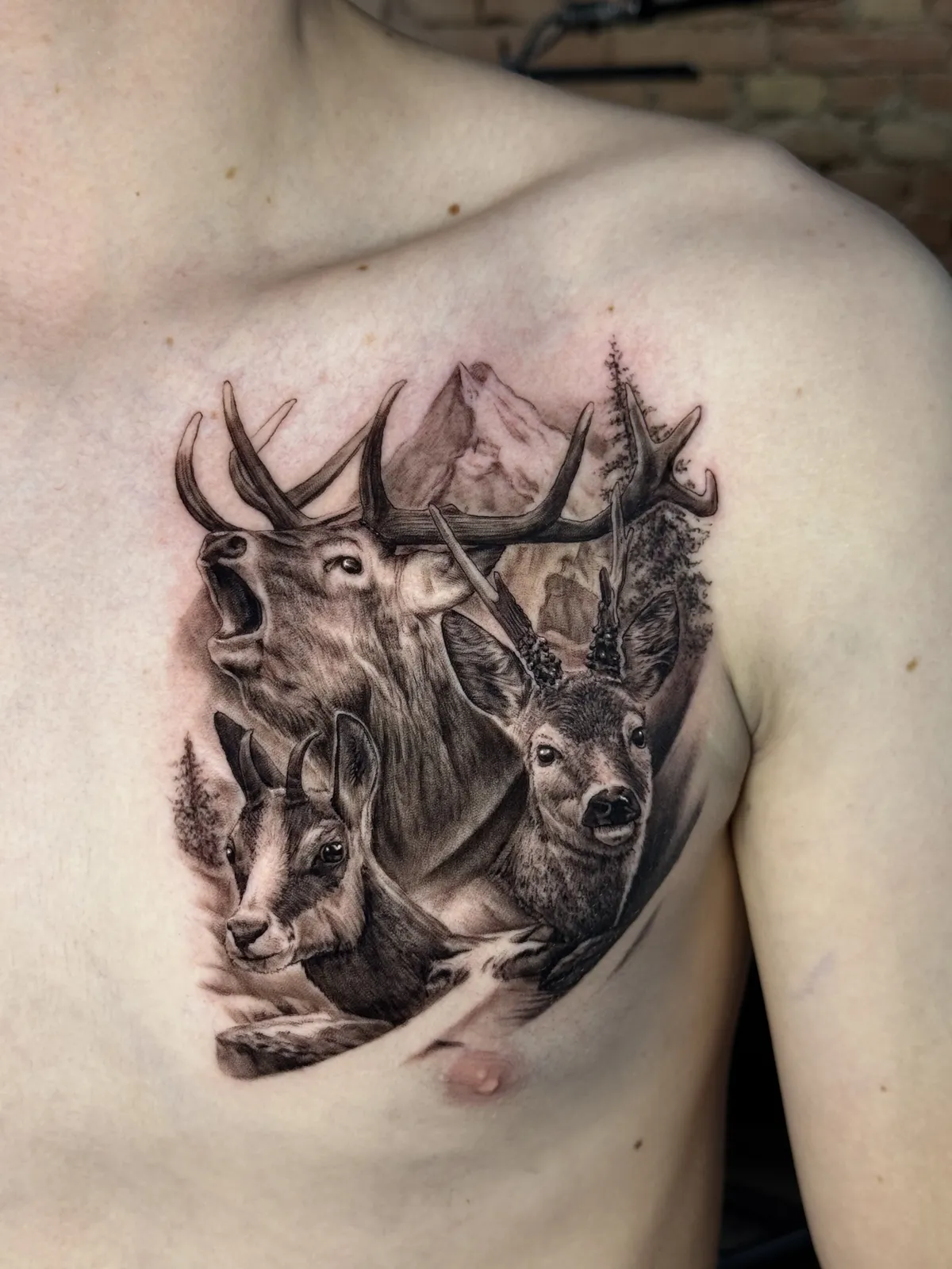 Tatuaje estilo Realismo - ejemplo 11 en Trato Tattoo Estudio Valencia