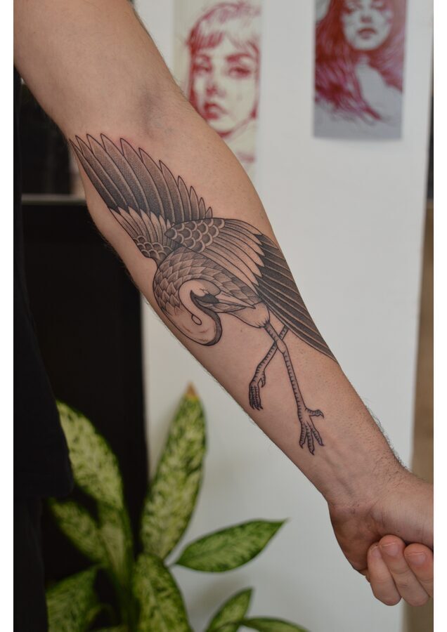 Tatuaje ilustrativo de grulla