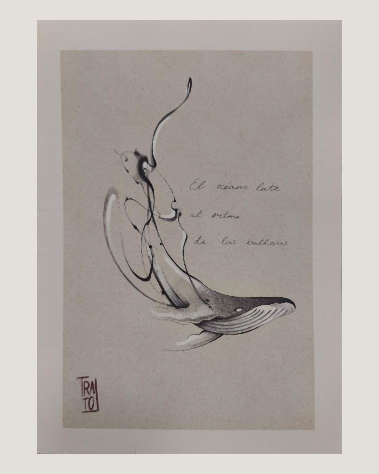 Ilustración de una ballena entre trazos de tinta con la frase «El océano late al ritmo de las ballenas»