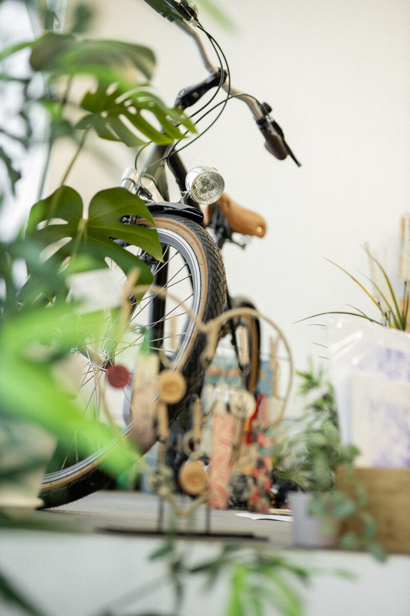 Detalle decorativo del estudio con plantas